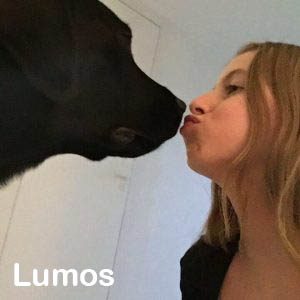 Lumos Lumos