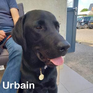 Urbain Urbain
